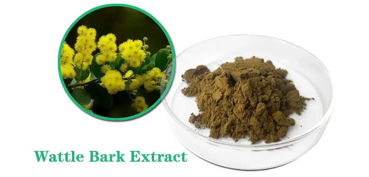 Wattle Bark Extract Sale.jpg